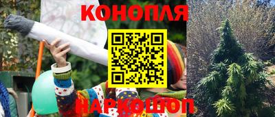 jwh Кингисепп