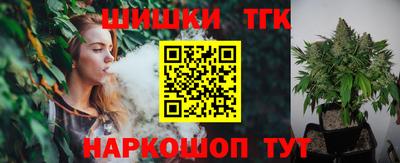 jwh Кингисепп