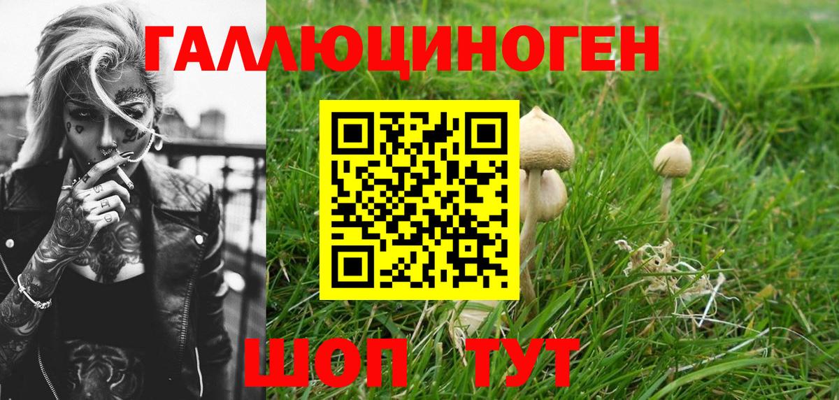 Галлюциногенные грибы Cubensis Бутурлиновка