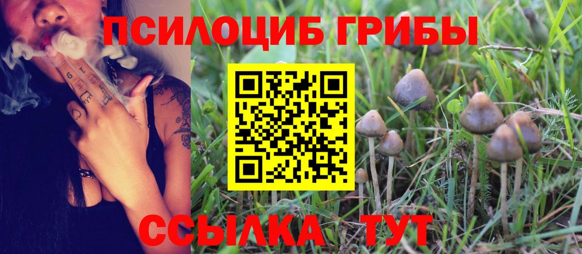 Бутурлиновка  Галлюциногенные грибы Magic Shrooms  Вход с VPN  Галлюциногенные грибы Psilocybine cubensis 