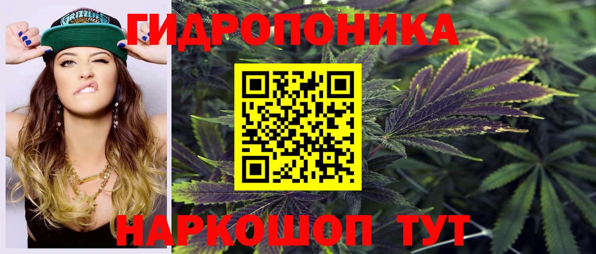 Бошки марихуана гибрид Бутурлиновка